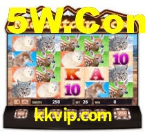 kkvip.com,kkvip